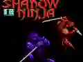 Peli Shadow of the Ninja verkossa