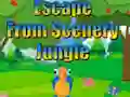 Peli Escape from Scenery Jungle verkossa