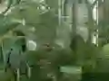 Peli Mystery Garden Escape verkossa