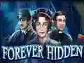 Peli Forever Hidden verkossa