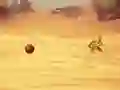 Peli Monkey Shooting verkossa