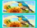 Peli Spot the Difference The Garden verkossa