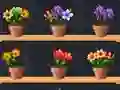 Peli Good Flower Master verkossa