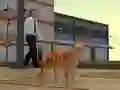 Peli Cat City Simulator verkossa