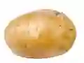 Peli Potato verkossa