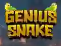 Peli Genius Snake verkossa