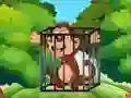 Peli Free the Captive Ape verkossa
