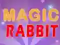Peli Magic Rabbit verkossa