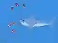 Peli Oceans Shees verkossa