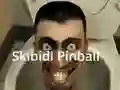 Peli Skibidi Pinball verkossa