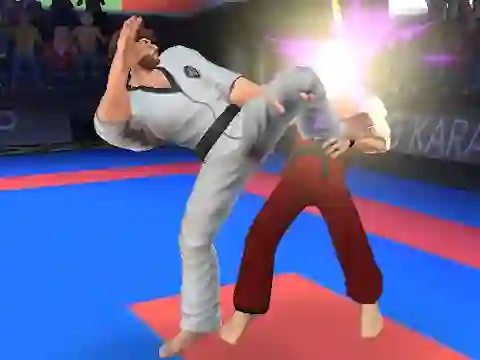 Peli Karate Fighter verkossa