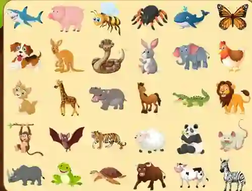 Peli Discover Animals verkossa