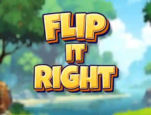Peli Flip It Right verkossa