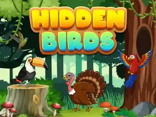 Peli Hidden Birds verkossa