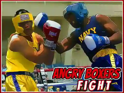 Peli Angry Boxers Fight verkossa