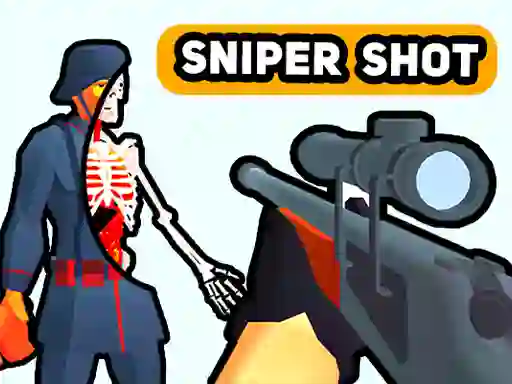 Peli Sniper Shot: Bullet Time verkossa