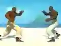 Peli Capoeira fighter verkossa