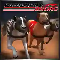 Peli Greyhound Racing verkossa