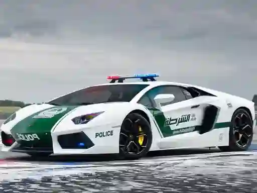 Peli Police Cars Jigsaw Puzzle verkossa
