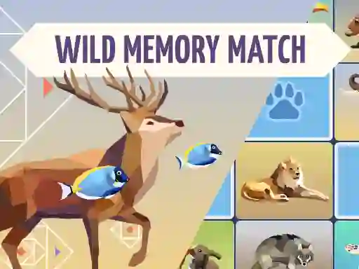 Peli Wild Memory Match verkossa