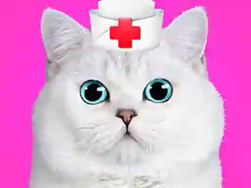 Peli Cat Pet Doctor Dentist verkossa