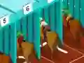 Peli Derby racing verkossa