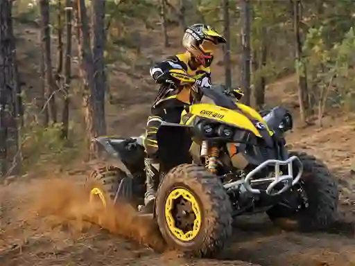 Peli ATV Offroad Puzzle verkossa