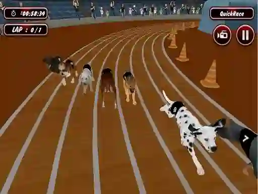 Peli Crazyl Dog Racing Fever verkossa