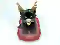 Peli Pet Sledding verkossa
