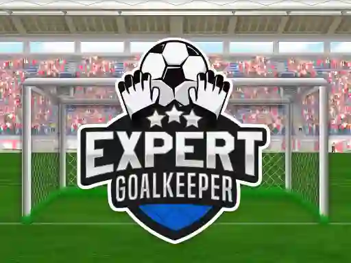 Peli Expert Goalkeeper verkossa