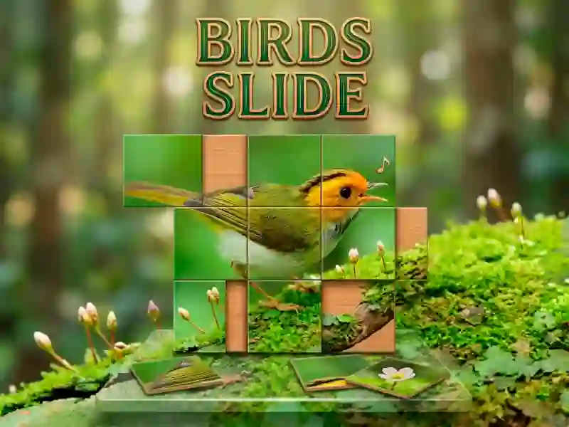 Peli Birds Slide verkossa
