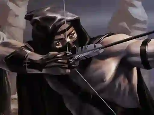 Peli Shadow Archers verkossa