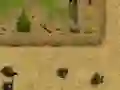 Peli Ambush verkossa