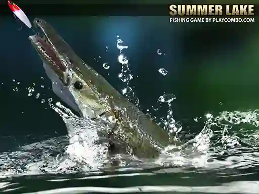 Peli Summer Lake 1.5 verkossa
