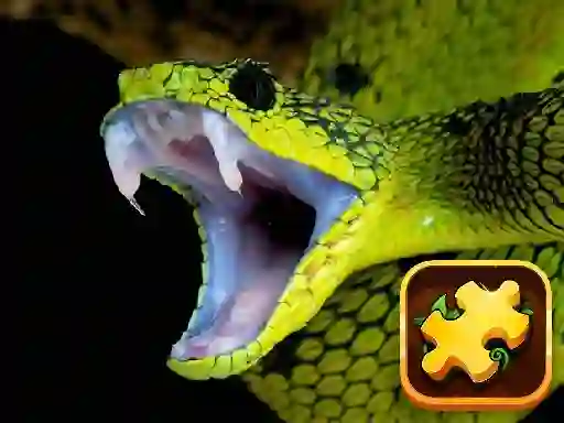 Peli Snake Puzzle Challenge verkossa