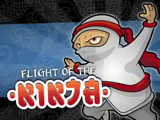 Peli Flight Of The Ninja verkossa