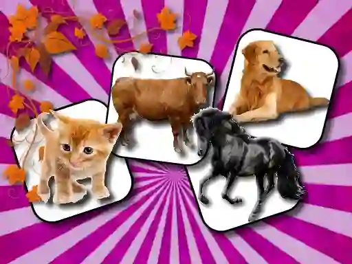 Peli Domestic Animal Memory Challenge verkossa