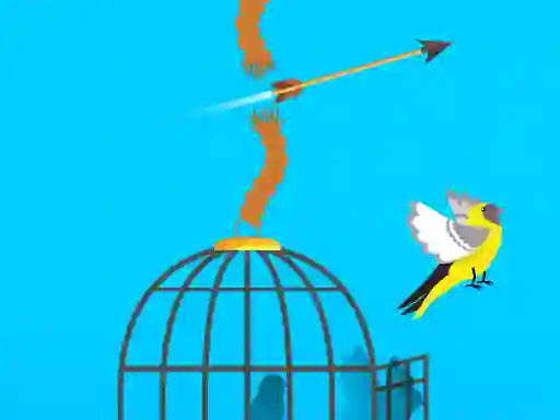 Peli Free Birds verkossa