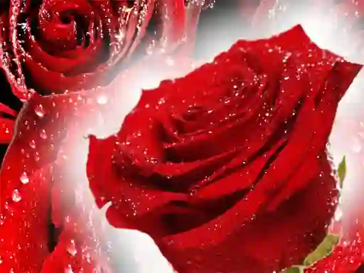 Peli Red Roses verkossa