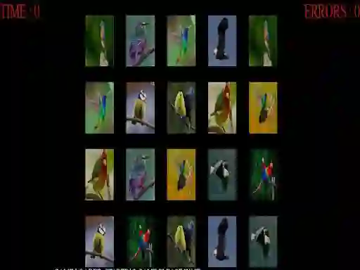 Peli Memorize the birds verkossa