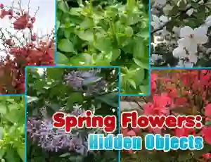 Peli Spring Flowers: Hidden Objects verkossa