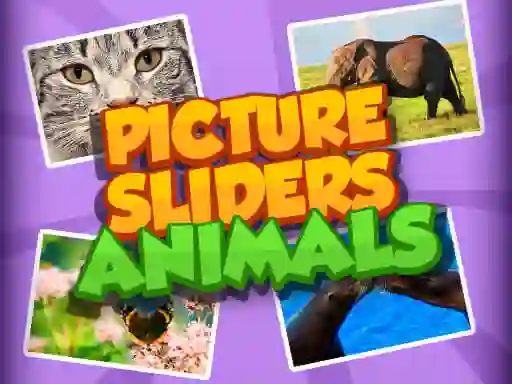 Peli Picture Slider Animals verkossa
