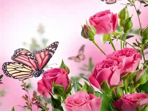 Peli Butterflies Puzzle verkossa