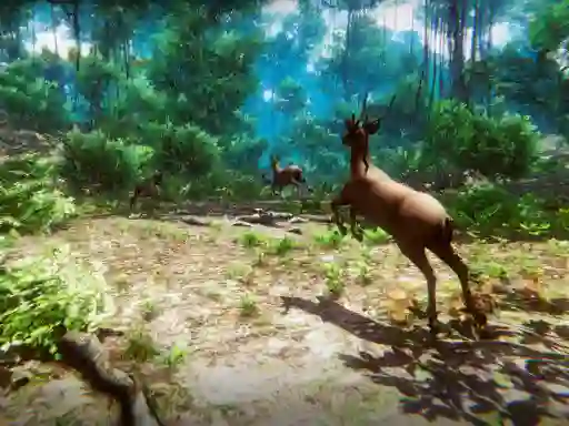 Peli  Hunter 3D verkossa