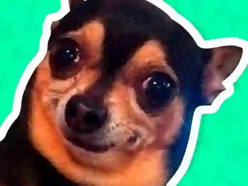 Peli What meme dog are you ? verkossa