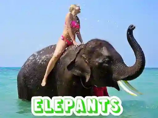 Peli Elephants Puzzle verkossa
