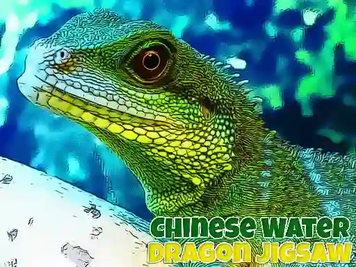 Peli Chinese Water Dragon Jigsaw verkossa