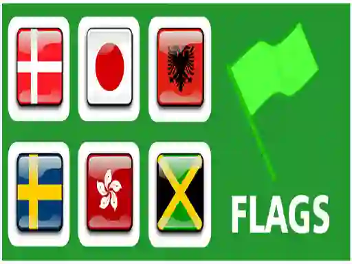 Peli Flags verkossa