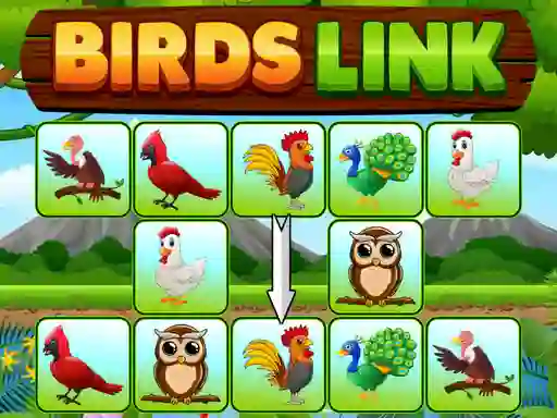 Peli Birds Link verkossa