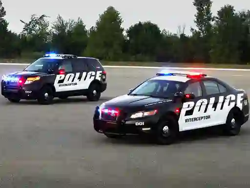 Peli Police Cars Puzzle verkossa